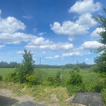 La Part Des Anges 캠프장